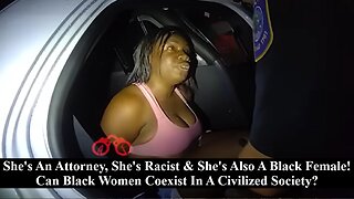 Black Female Lawyer Turns Simple Traffic Stop Back To Slave Catcher Role Play With White Cop!