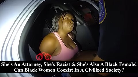 Black Female Lawyer Turns Simple Traffic Stop Back To Slave Catcher Role Play With White Cop!