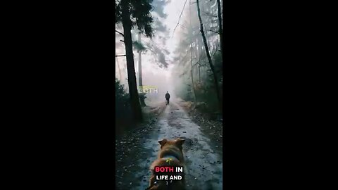 Dogs: Angels in Disguise, Guardians of the Divine