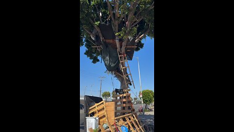 Bro lives in a treehouse in South Central LA..