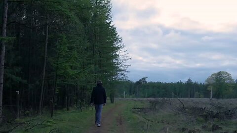 "Alone but Strong | A Silent Journey"