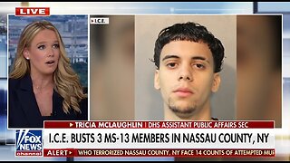 DHS Assistant Sec: When We Said We’re Going After the Worst of the Worst, That’s Not a Talking Point