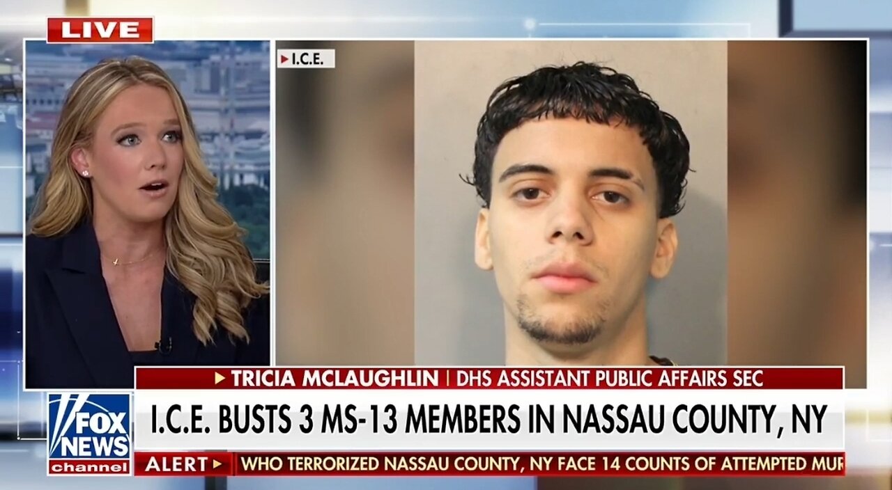 DHS Assistant Sec: When We Said We’re Going After the Worst of the Worst, That’s Not a Talking Point