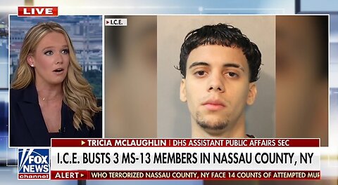 DHS Assistant Sec: When We Said We’re Going After the Worst of the Worst, That’s Not a Talking Point