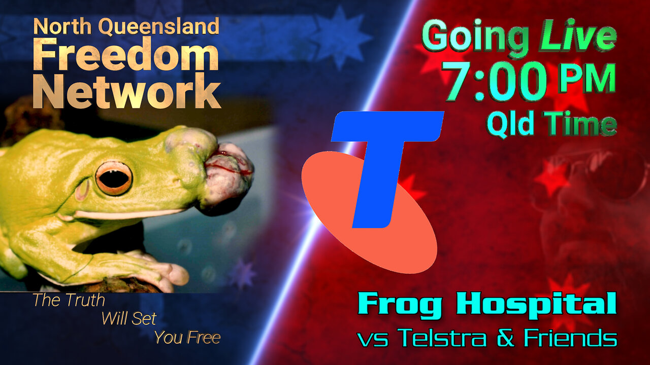 Frog Hospital vs Telstra & Friends