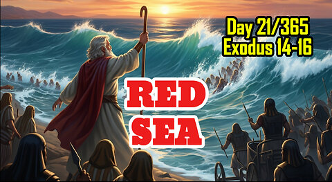 Day 21/365 - Crossing The RED SEA | Israelites Complain