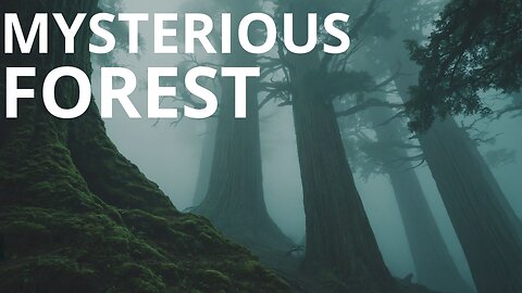 Mysterious Forest | symphonic electronic instrumental