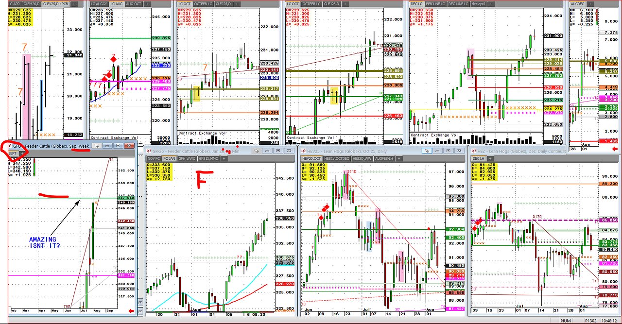Trading lesson Algo, Targets, Feeders new highs