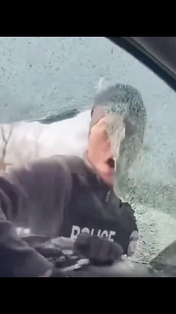 NEW: ICE agents break through car windows belonging to alleged Tren de Aragua gang members