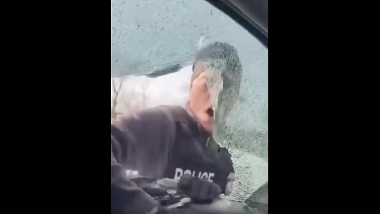 NEW: ICE agents break through car windows belonging to alleged Tren de Aragua gang members