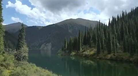 beautiful nature 🍃🍃
