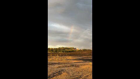 Golden Hour Rainbow – Nature’s Pro Camera Shot 📱