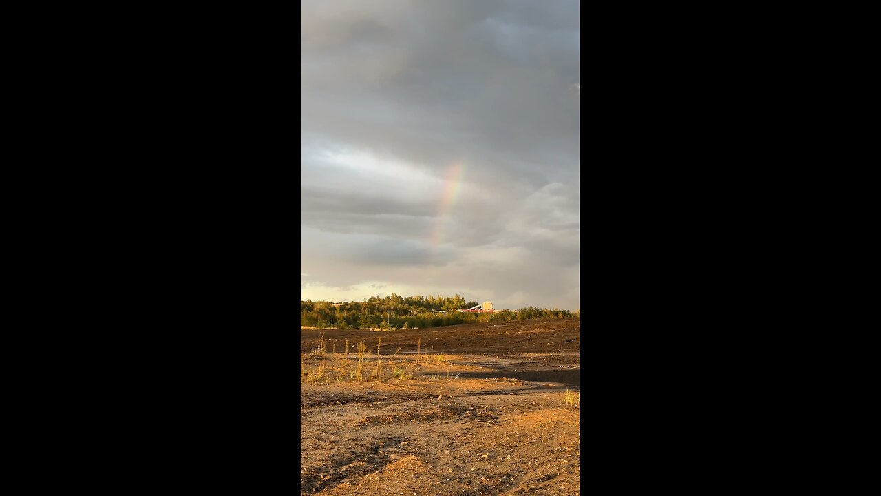 Golden Hour Rainbow – Nature’s Pro Camera Shot 📱