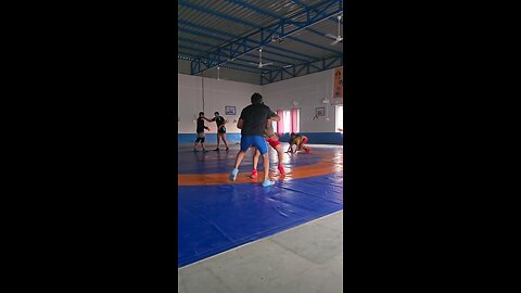 Wrestling Training Techniques