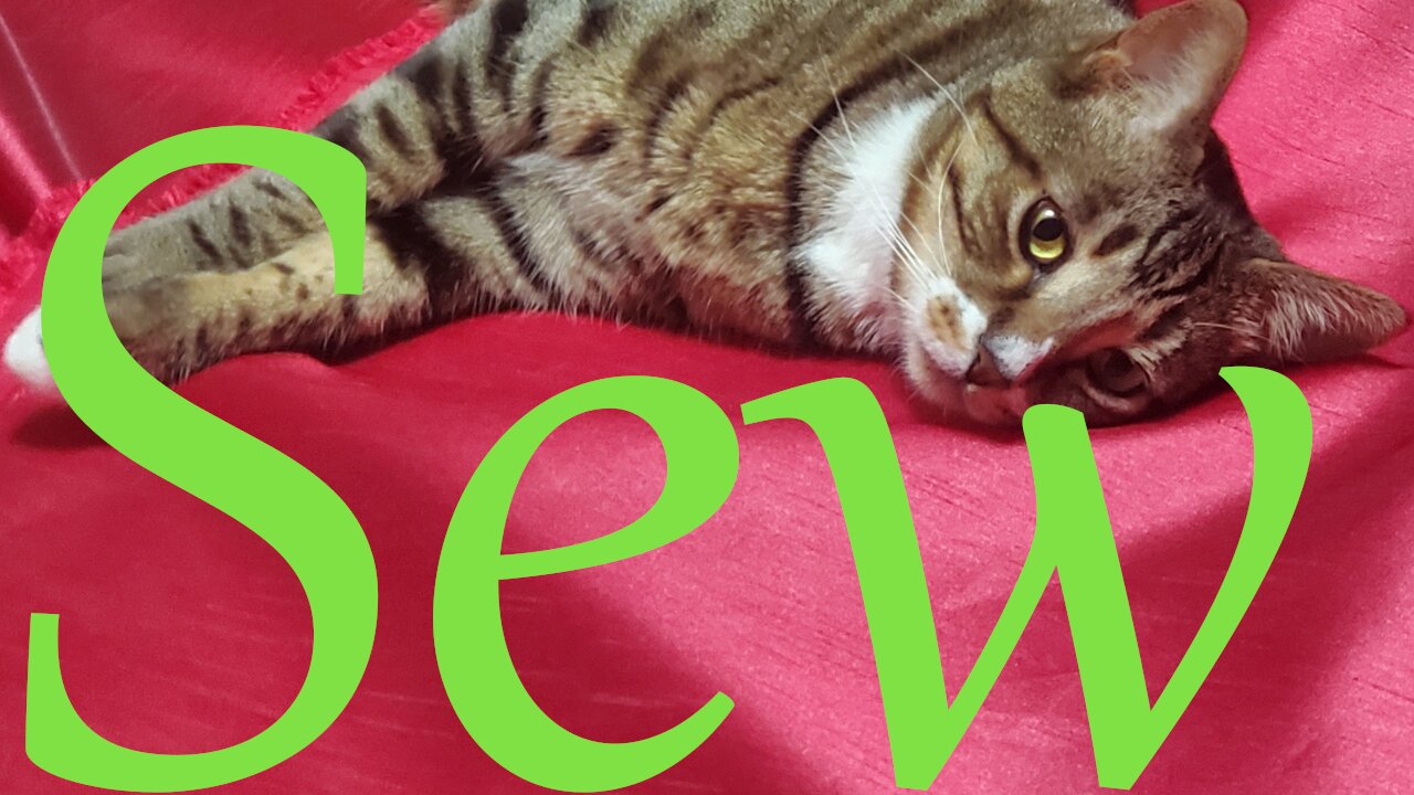 Sew Wednesday || Stitch & B*