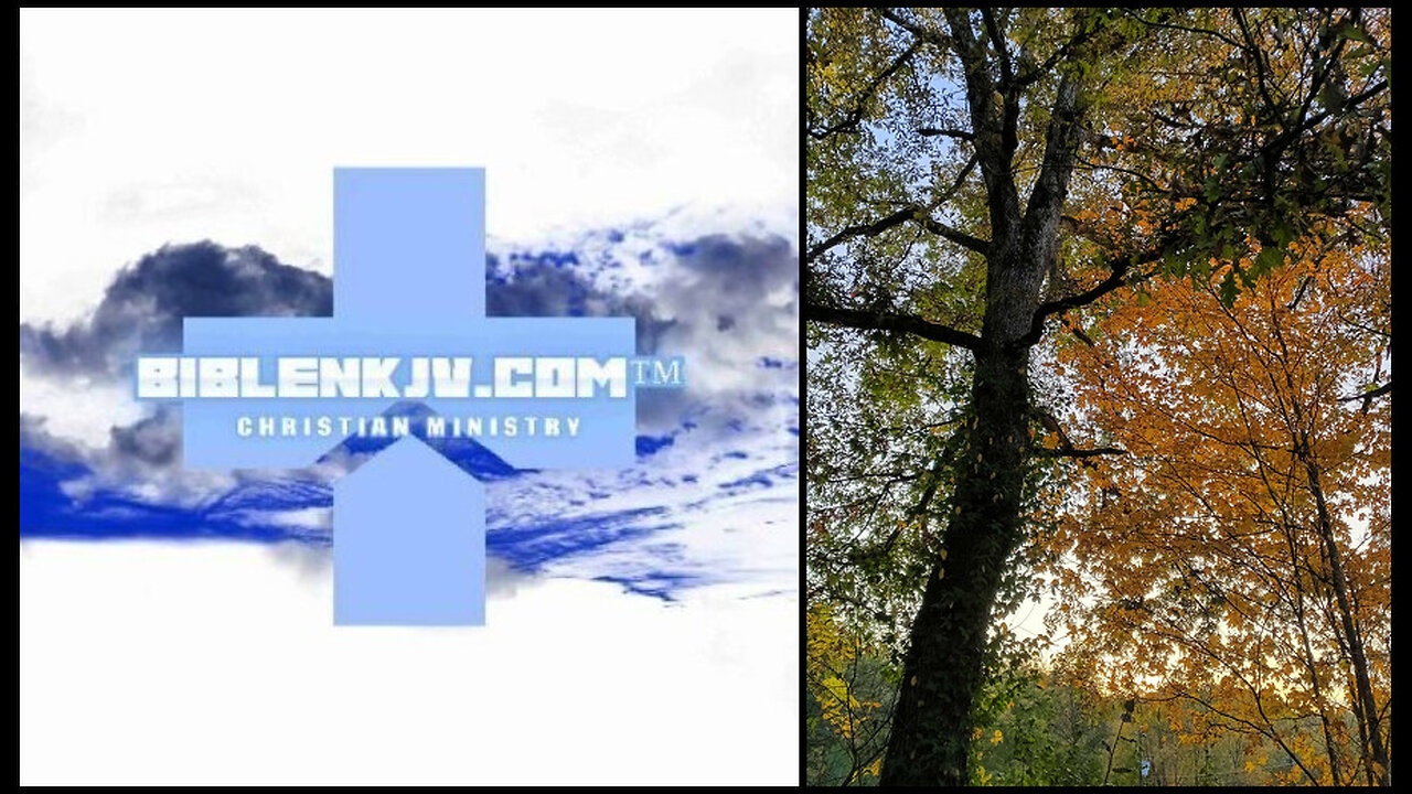 BIBLENKJV.COM™ 🛐 OCTOBER LEAVES UPDATE P2 #WEATHER