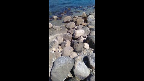 Crab Park