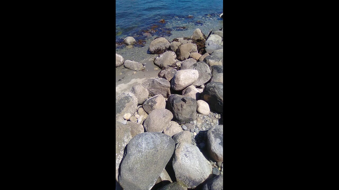 Crab Park