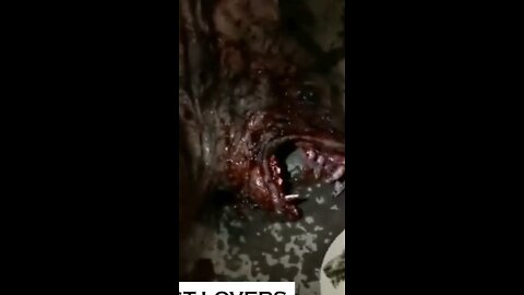 el último hombre lobo se extinguió
