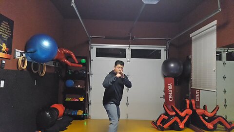 WTD 2 Step Kick Combination 99