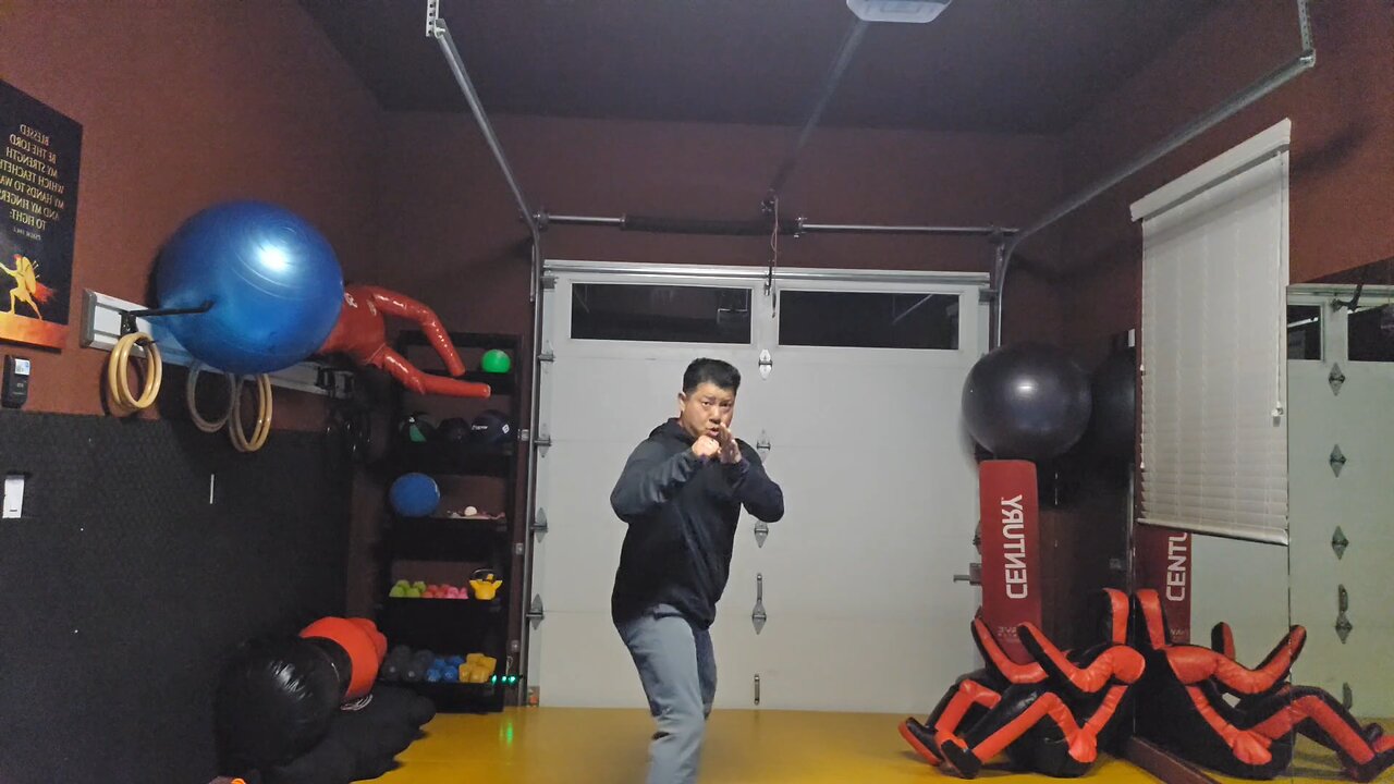 WTD 2 Step Kick Combination 99