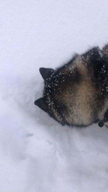 Thursday December 11, For you are the children of your father