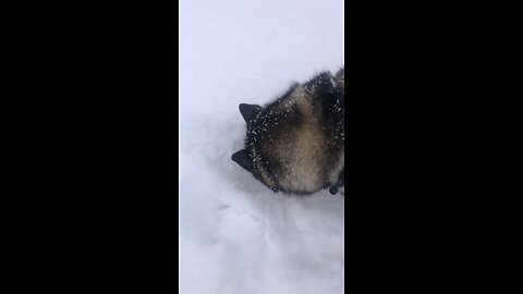 Thursday December 11, For you are the children of your father