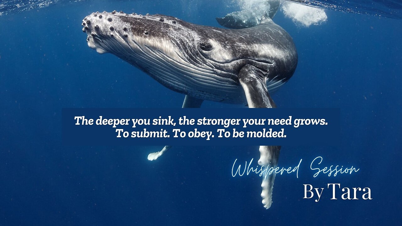 You Were Made to Surrender - A Hypnotic Training in Ultimate Obedience