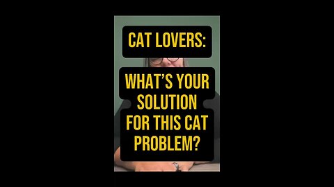 What’s The Solution For This Cat Problem? 🤔