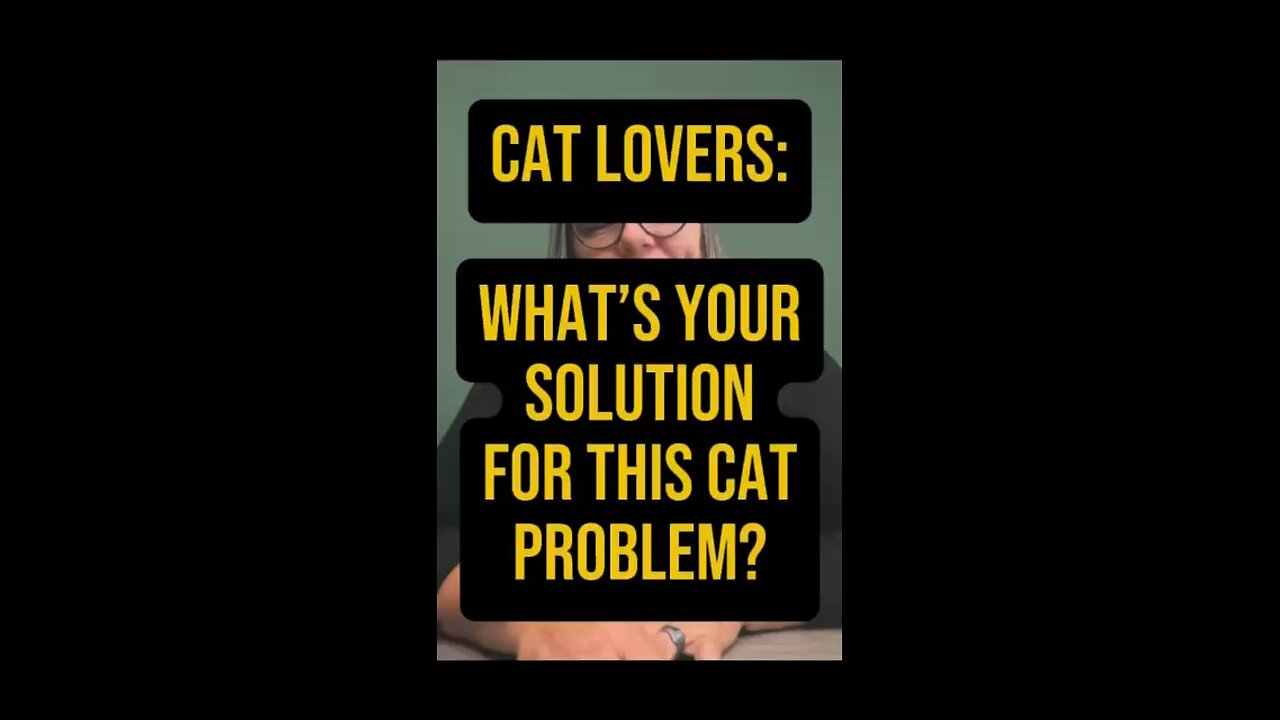 What’s The Solution For This Cat Problem? 🤔