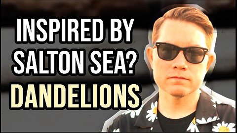 HAWTHORNE HEIGHTS 'Dandelions' Song Breakdown | Lyrics & Meaning