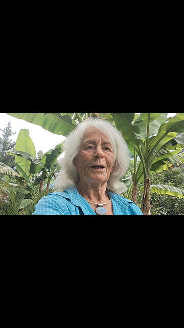 «Es wird alles so bequem und einfach»