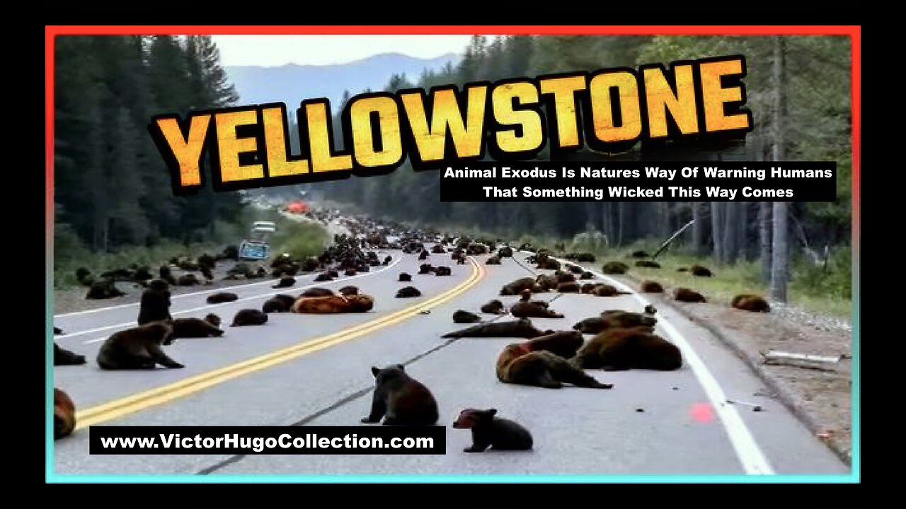 YellowStone Park Animal Exodus Is Natures Way Of Warning Humans That Something Wicked This Way Comes