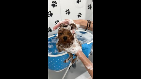 it’s bath time!
