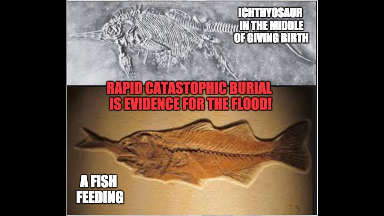 The Importance of Creation, The Fall of Man and The Flood of Noah's Day
