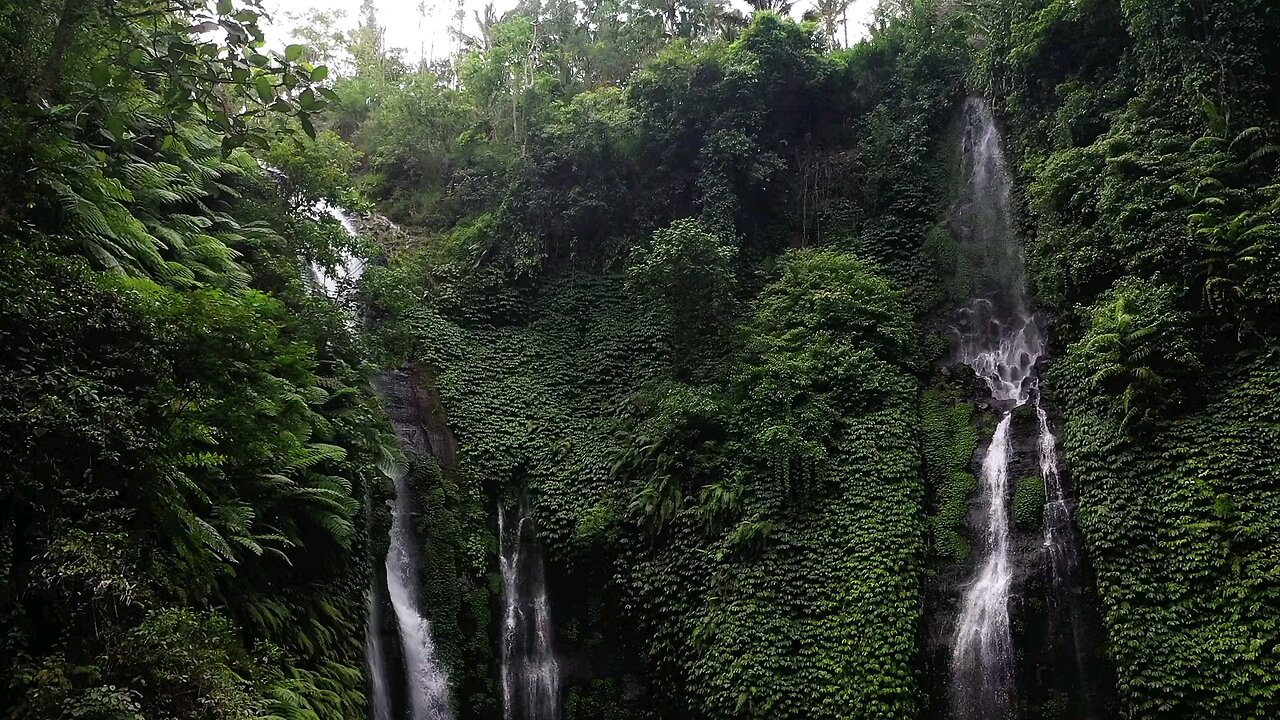 Scenic View of a Waterfalls in a Jungle