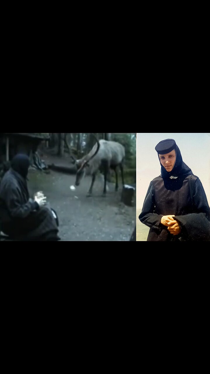 Sfânta pustnică Elisabeta cu cerbul ei, la chilia din Munții Rarăului