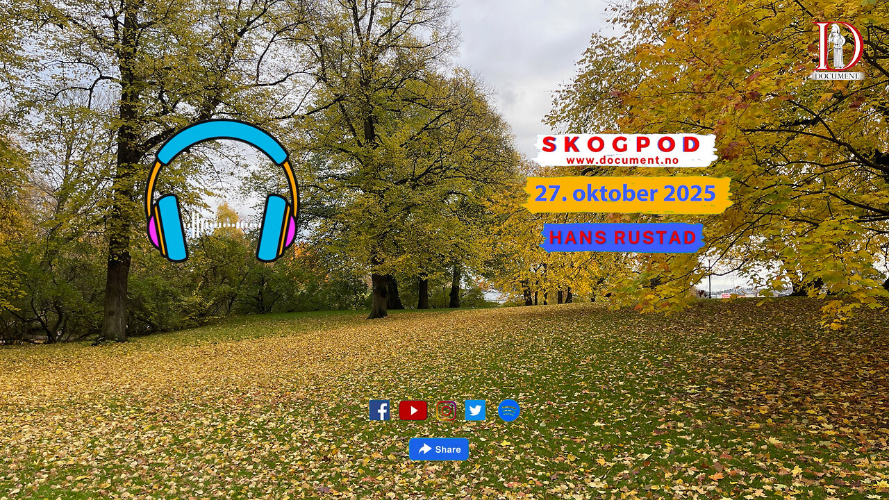 Skogpod 27. oktober 2025