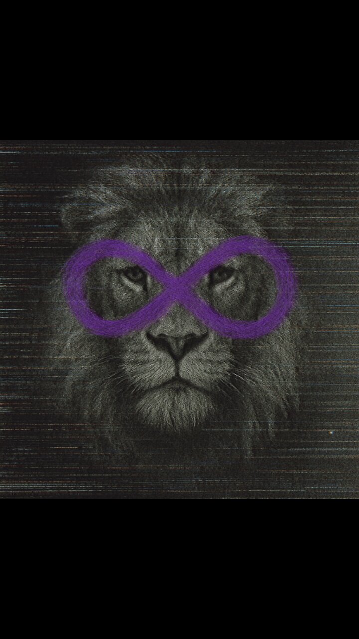 Friends Like These | Wounded Lions