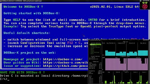 compiling dosbox-x 2025.02.01 on raspberry pi 5 8GB (arm64) {LINUX}