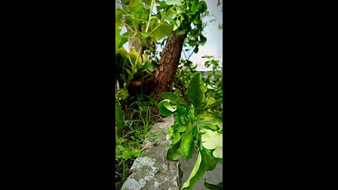 তুমি আমি, তরীর হাল ধরেছি..❤️