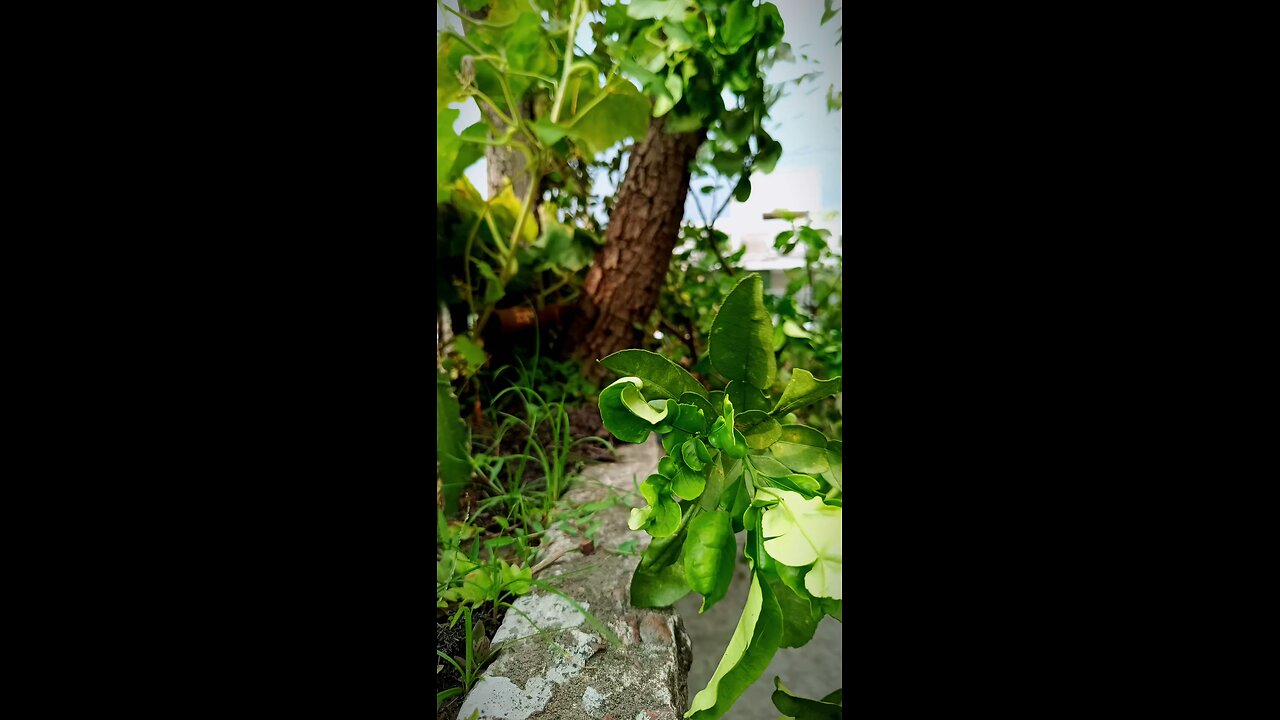 তুমি আমি, তরীর হাল ধরেছি..❤️