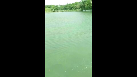 হৃদয় ছোঁয়া বাংলা গান খালি কন্ঠে গেয়েছি। কেমন হয়েছে সবাই জানাবে।