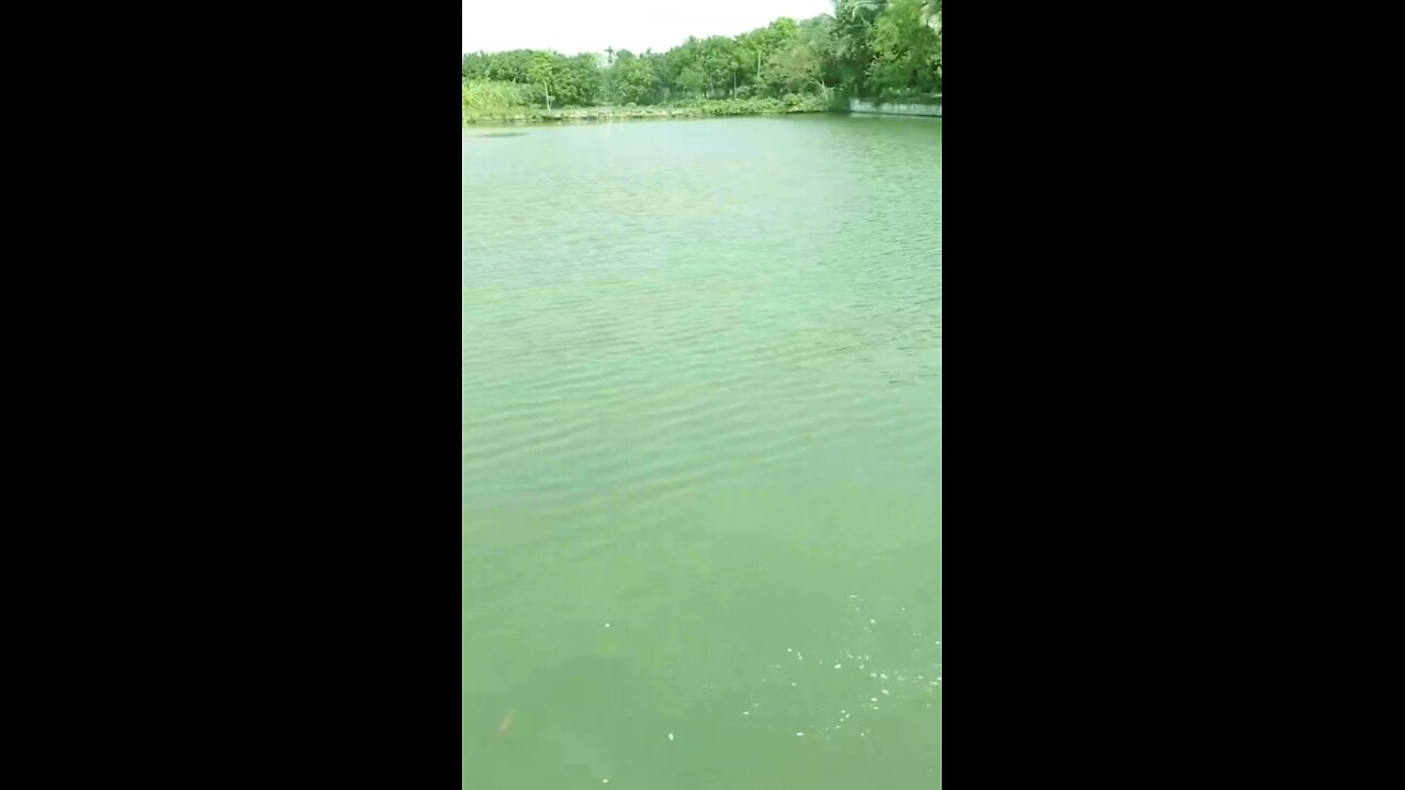 হৃদয় ছোঁয়া বাংলা গান খালি কন্ঠে গেয়েছি। কেমন হয়েছে সবাই জানাবে।