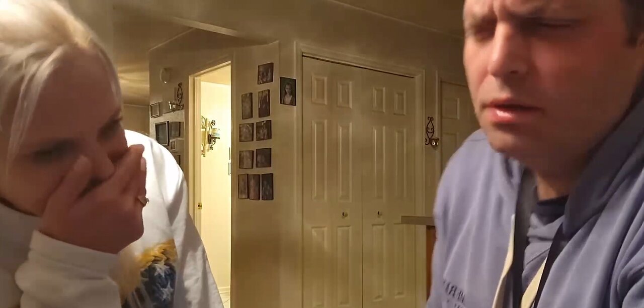 IP2 Compilation - Sheepdog