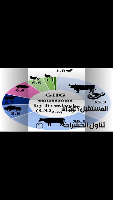 Why AREN'T You Eating Bugs?! Future Food?