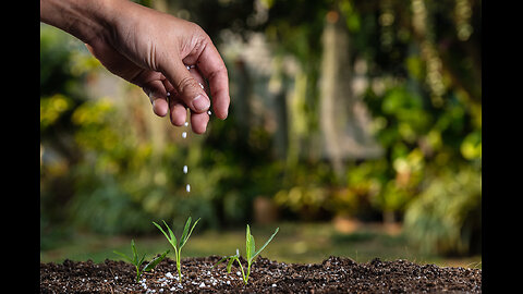 Sermon "Lessons from the Garden" Jan Powel