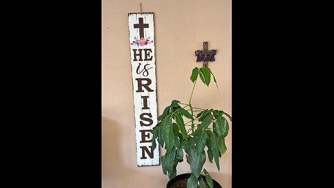 Blessing Heights Church Sept 5, 2025 The Ark