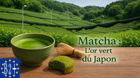 MATCHA: JAPAN’S GREEN GOLD (fr-en)