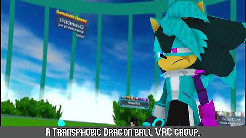 Dragon ball VRC transphobic group. (External's VRChat Courtroom EP16)